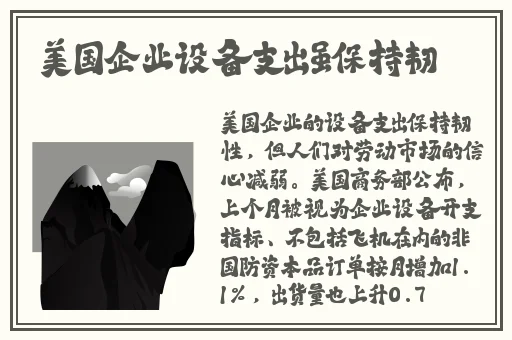 柚子猫。情人节的礼物